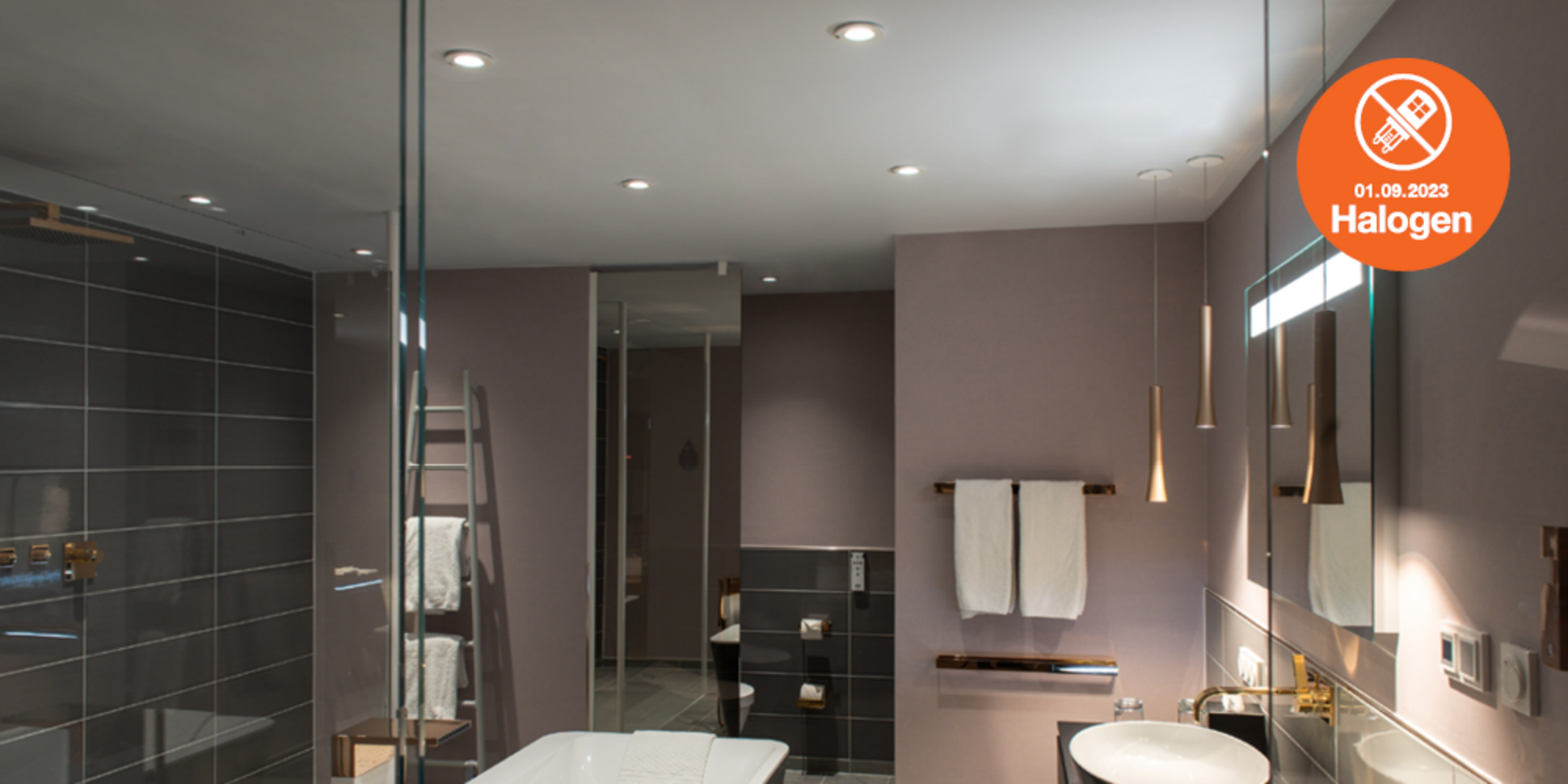 Lösungen zum Halogenlampen Verbot bei Pickel Elektro- und Sanitär GmbH in Leutershausen